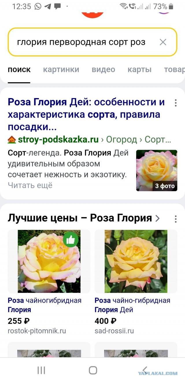 Что умеют современные девушки?