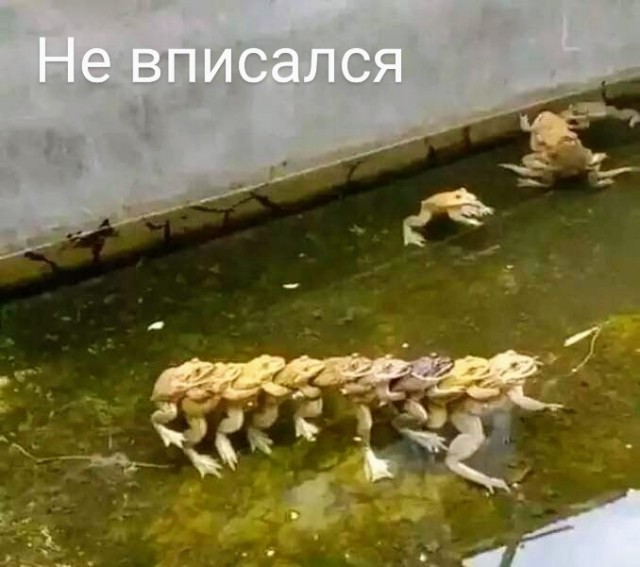 Немного картинок для настроения - 119