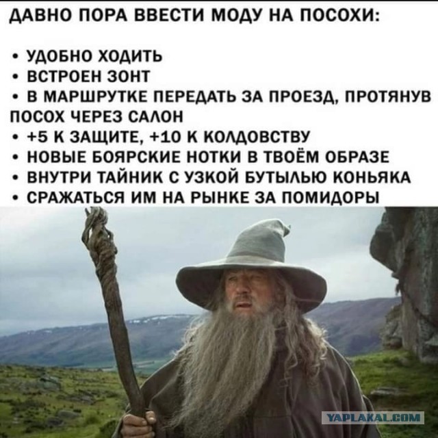 Так себе картинки 01.10.22
