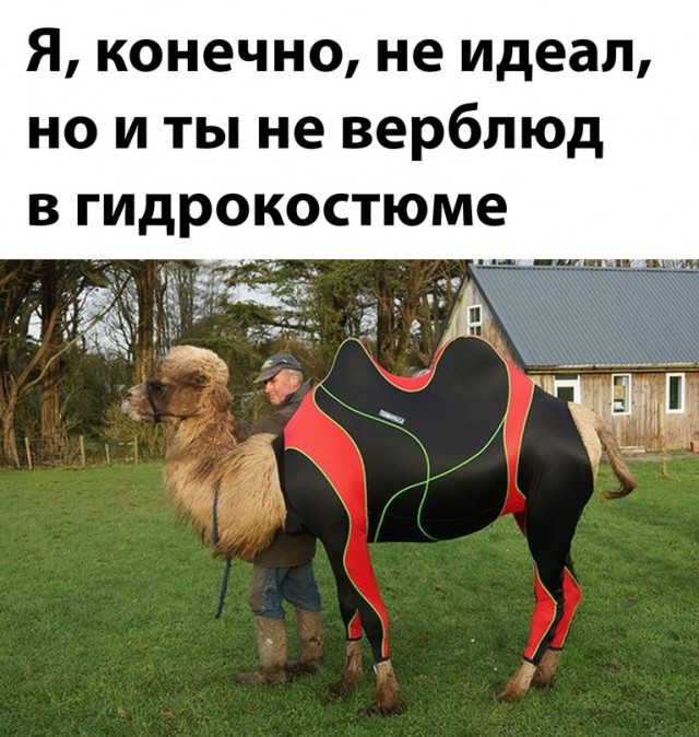 Немного картинок для настроения - 112
