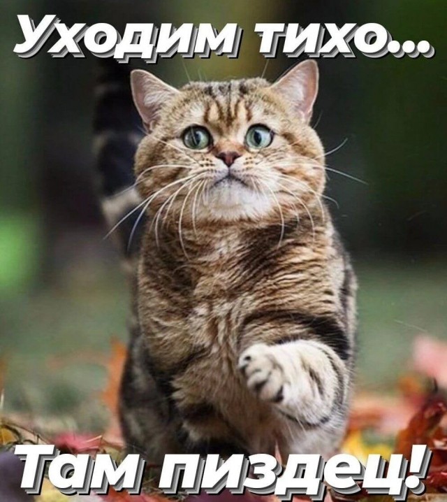 Юмор в картинках и без
