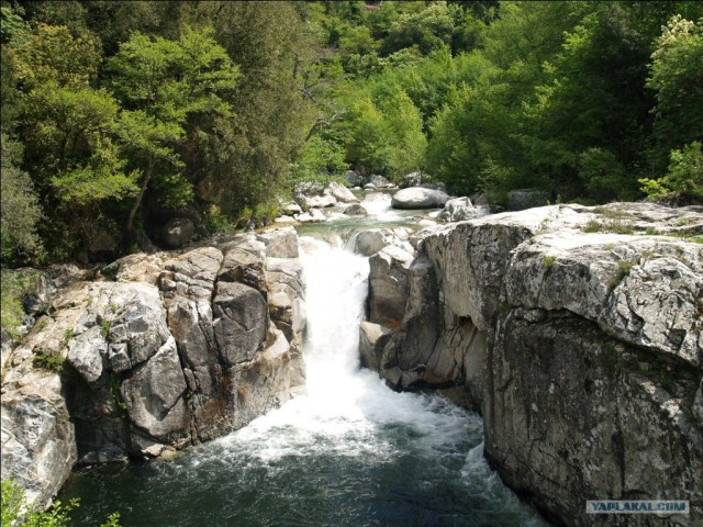 Франция. Корсика.