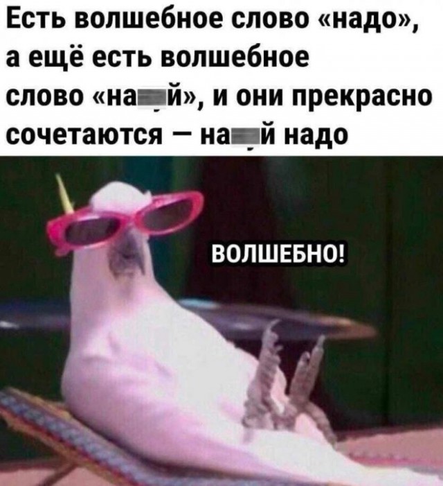 Картинки и мемы для настроения - 119