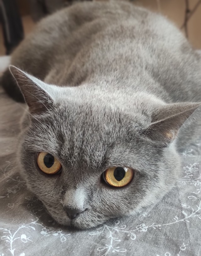 Совпало же? В котовторник