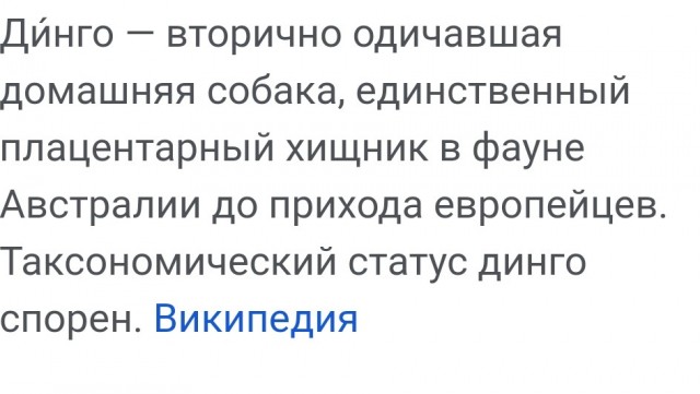 Новые признания Тесака в убийствах