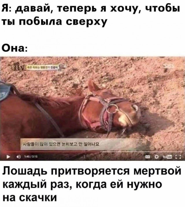 Так себе картинки 24.11.23