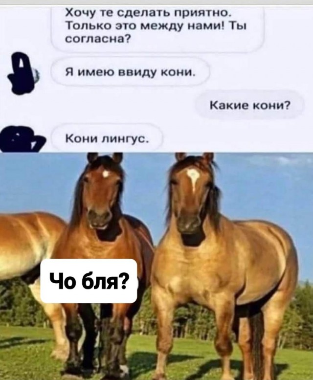 А вот и пятница!