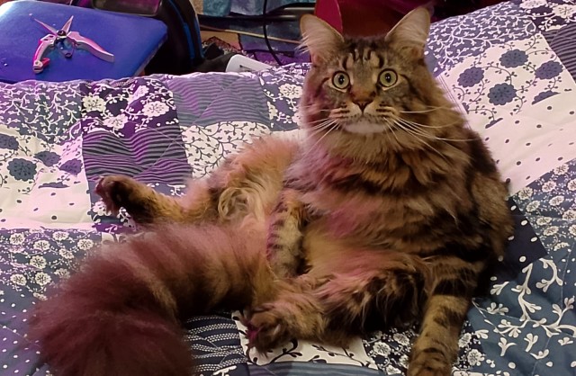 На святое покусилась⁠⁠