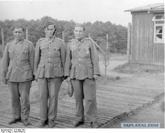 Кто воевал на стороне Гитлера