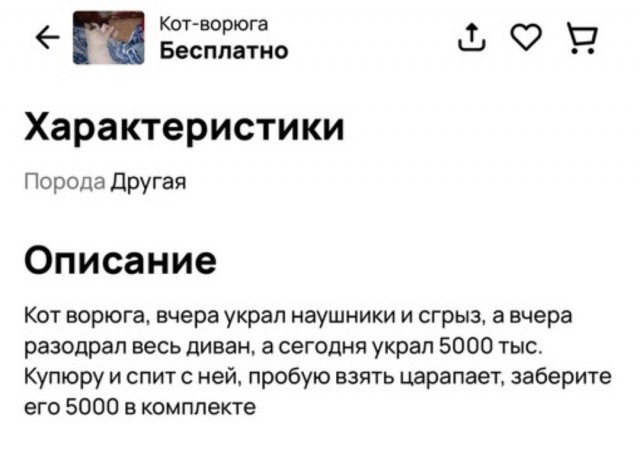 Юмор в картинках и без