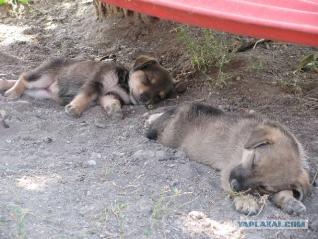 Розыск бесполезен. Дело можно закрывать