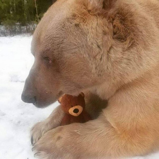 ФотоВинегрет