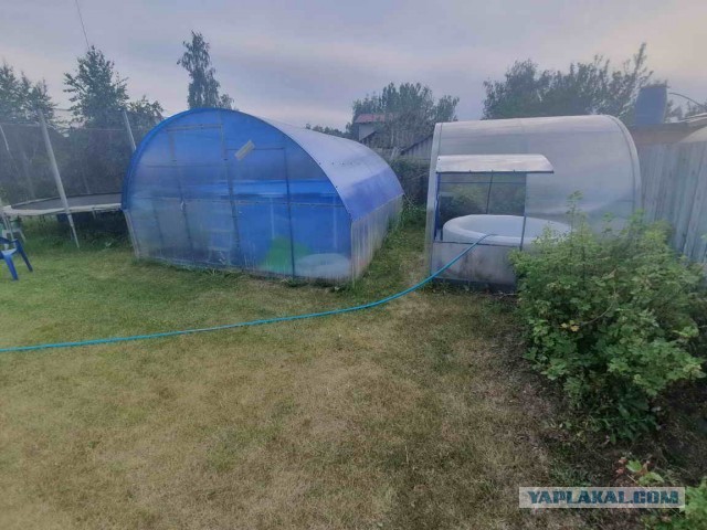 Когда батя присылает свои фотографии с дачи