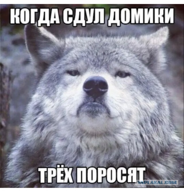 Дамба Киевской ГЭС
