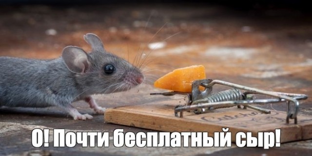 Найден новый способ обхода DRM-защиты в картриджах HP