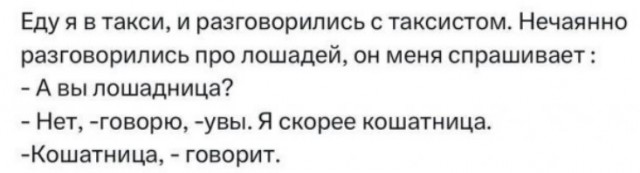 Зато он спас кота