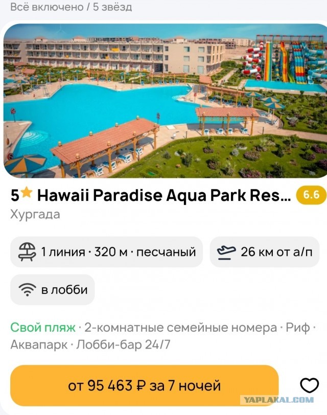 Борьба с паксами в Шереметьево