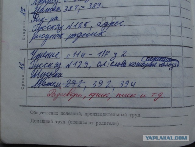 Забавные школьные дневники