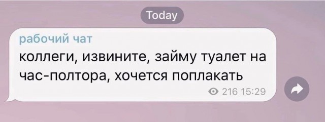 Всего понемногу. От 14.02.2025