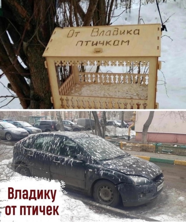 Нуштош 28.02.2025. Затерявшиеся мгновения (s3e8)