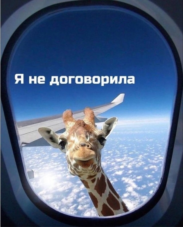 Завалялось тут случайно немного забавных картинок