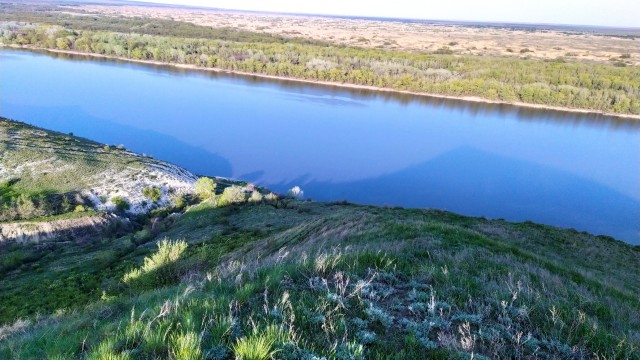 Донская степь
