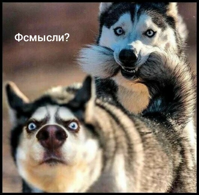 Ковыктинское месторождение. Приглашают на вахту