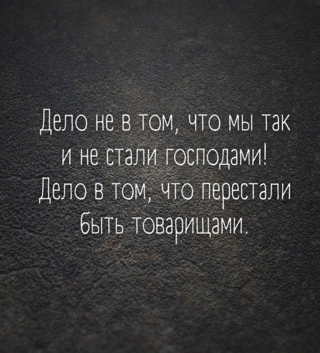 Веселое настроение в картинках (28.07.2025)