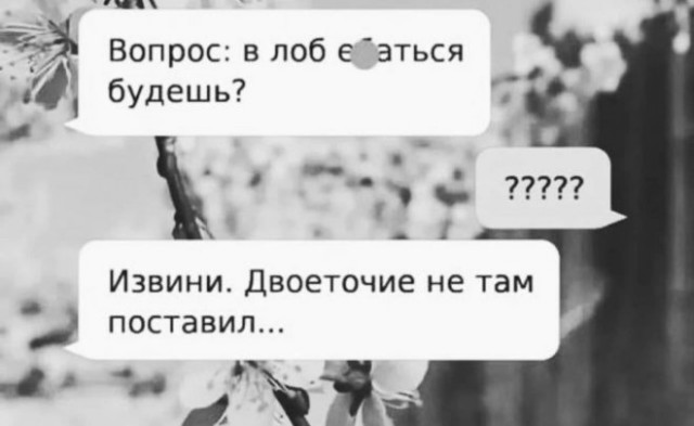 20316308.jpg