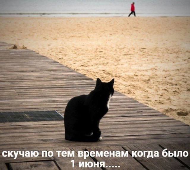 Небаянистая деградация 7