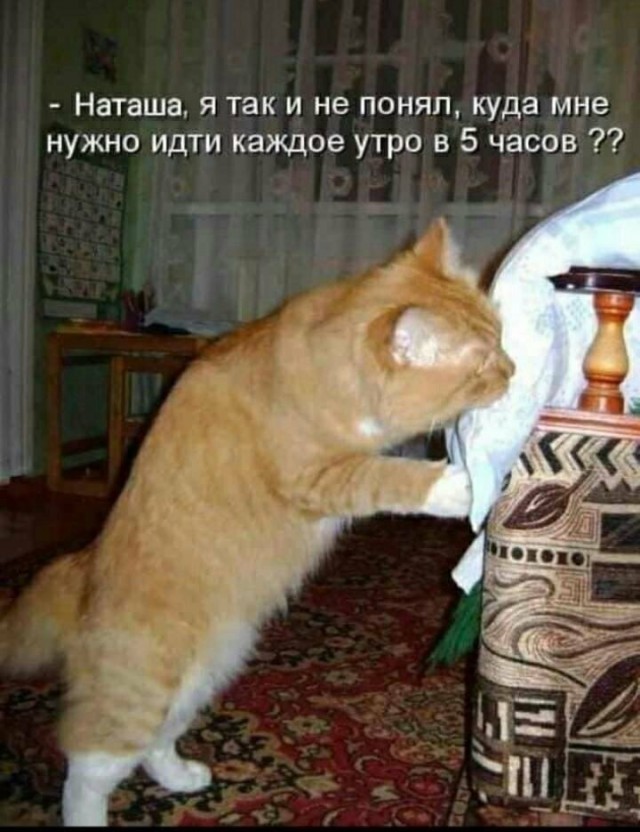 Вечер воскресенья