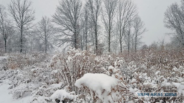 Двадцатипятиградусные морозы в Подмосковье отменяются