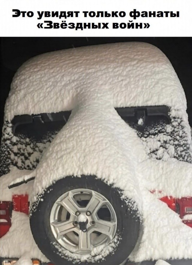 Картинки для деградации постновогодние (как салаты - разной степени свежести)