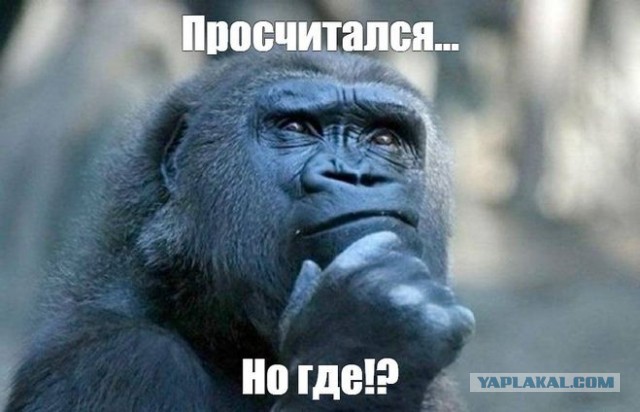 Анекдот дня