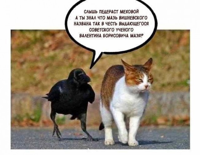 Картинки для деградации 152 (разной степени свежести)