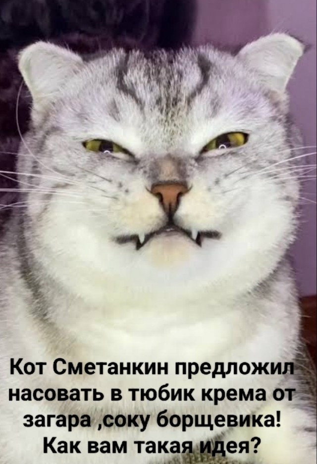Пойдем, убъем борщевика