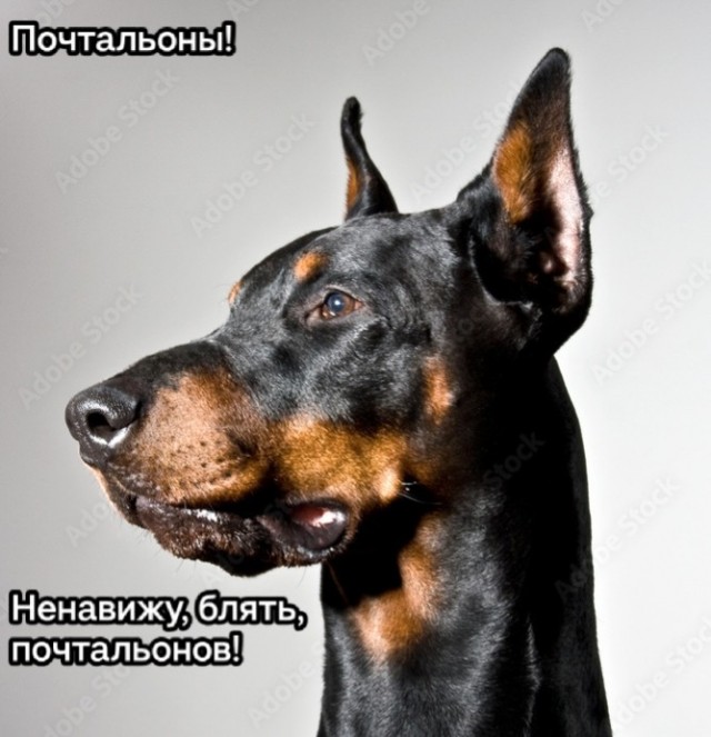 Быть курьером в Америке
