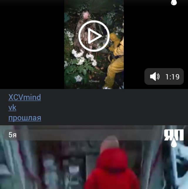 Вышел новый "Архив аномалии"