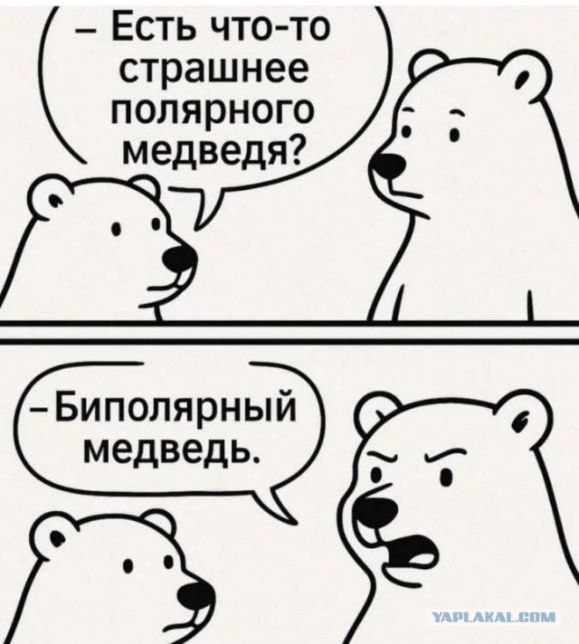 Про медведей, коллеги.
