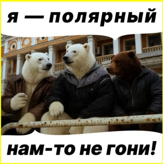 тРРРидцать тРРРи от 13 августа