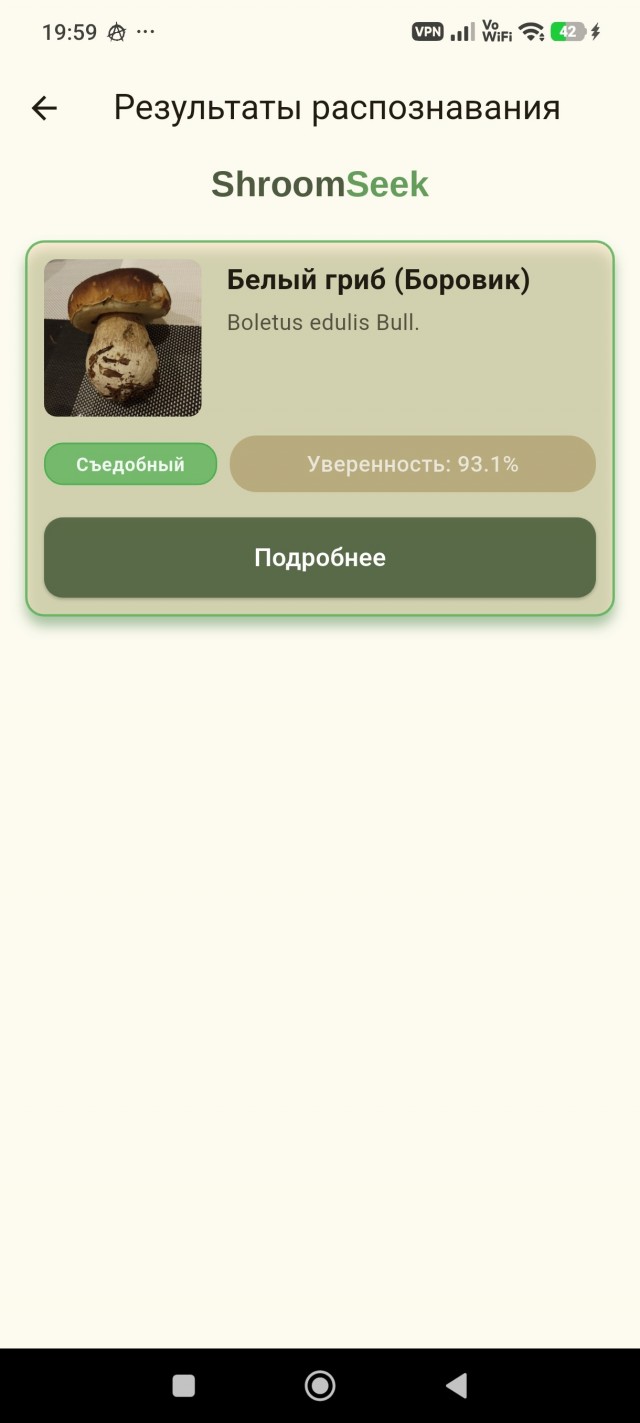 Грибы