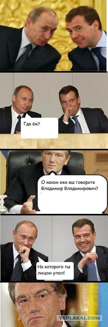 Где же ёж ?!