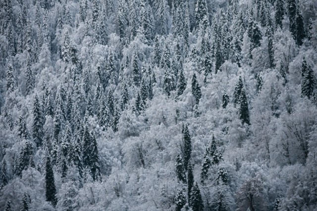 Абхазия, январь 2010