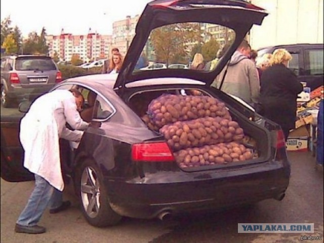 Как распахивают земли в Беларуси