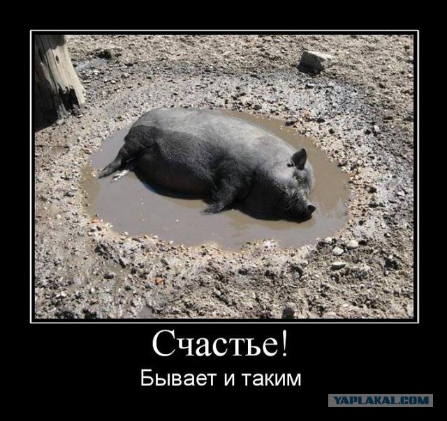 Подборка смешных картинок :)