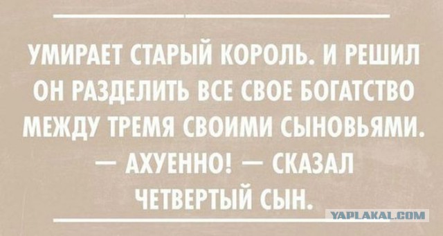 Подборка весёлых картинок