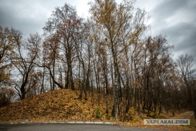 По берегам реки Мочи