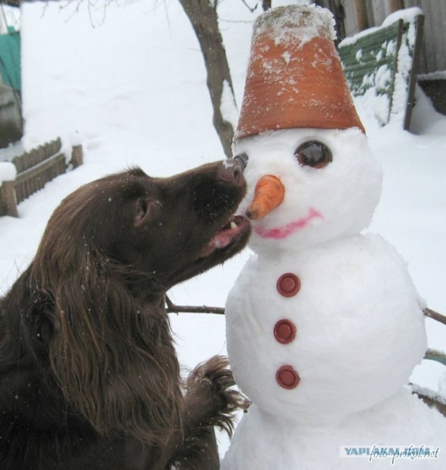 Сезон снеговиков в разгаре!