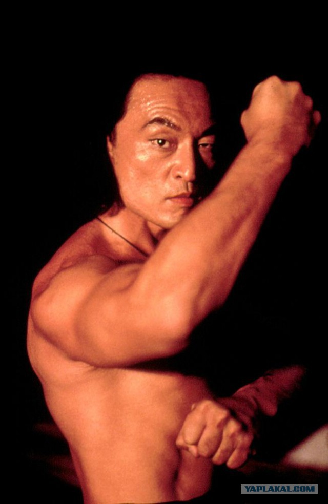 6 лучших мастеров боевых искусств в мировом кино