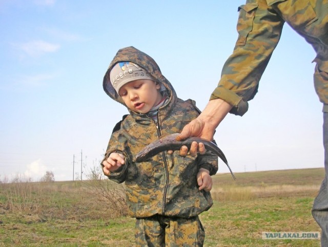 Рыбалка в глухозимье...